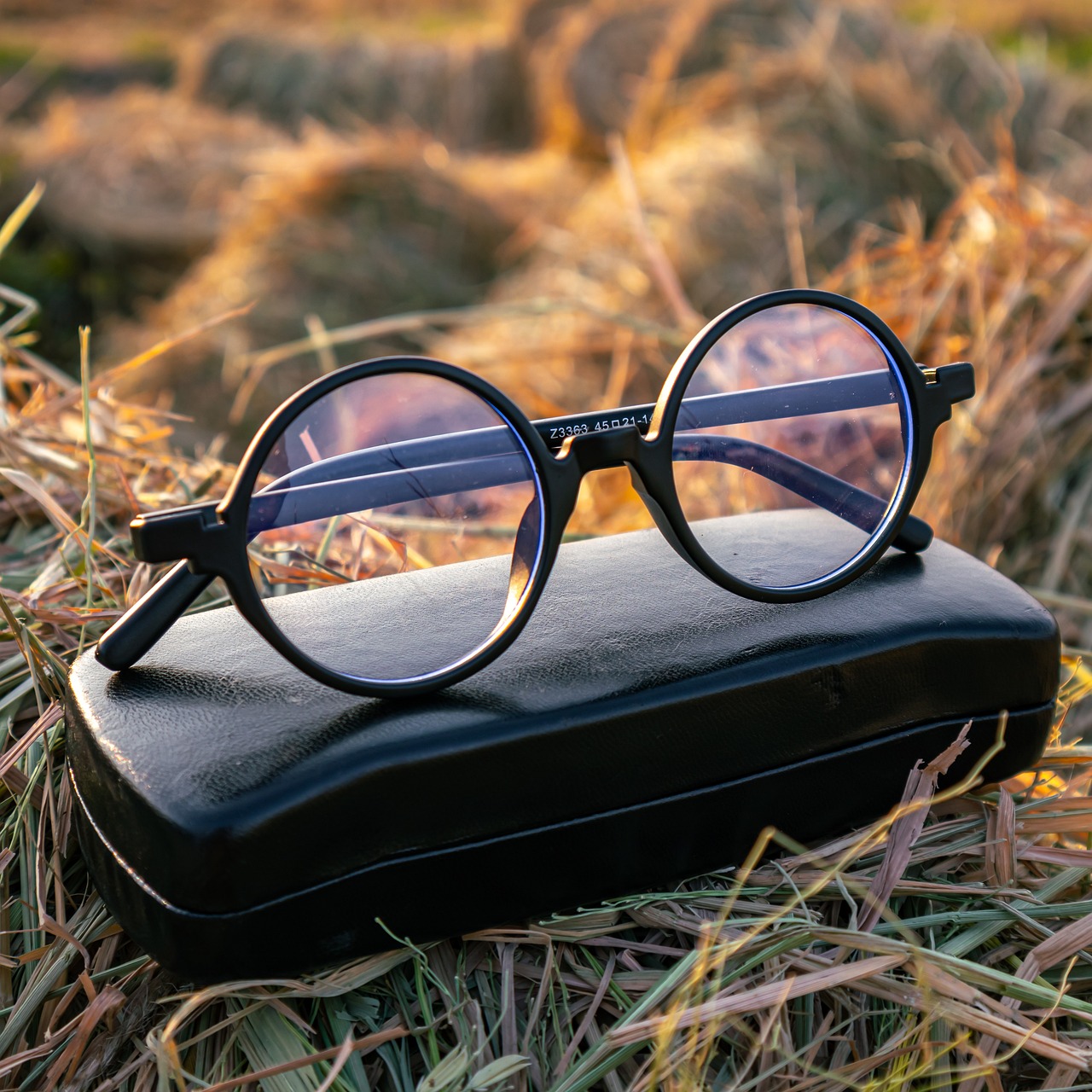 glasses, eyeglasses, eyewear, straw field, accessory, fashion, spectacles, specs, eyewear, eyewear, eyewear, eyewear, eyewear, specs, specs, specs, specs, specs