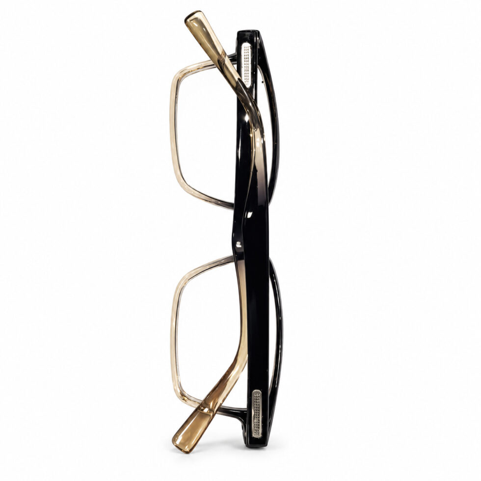 Black and Champagne Rectangle Eyeglasses — alternate product angle